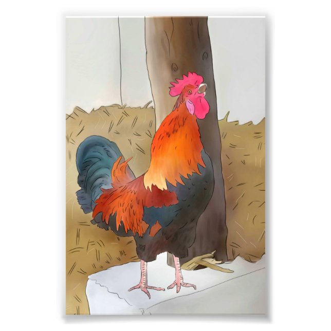 Krähender Hahn Fotodruck (Vorne)