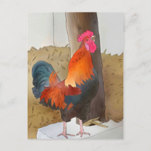 Krähender Hahn Postkarte