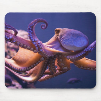 Krake Mousepad
