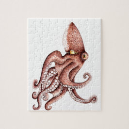 Krake - Octopus vulgaris