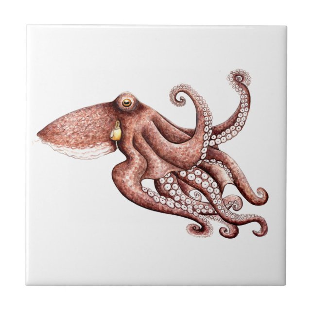 Krake - Octopus vulgaris Fliese (Vorderseite)
