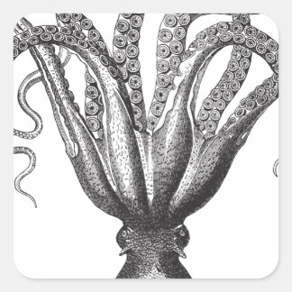 ☞ Krake / The Kraken Vintage Quadratischer Aufkleber
