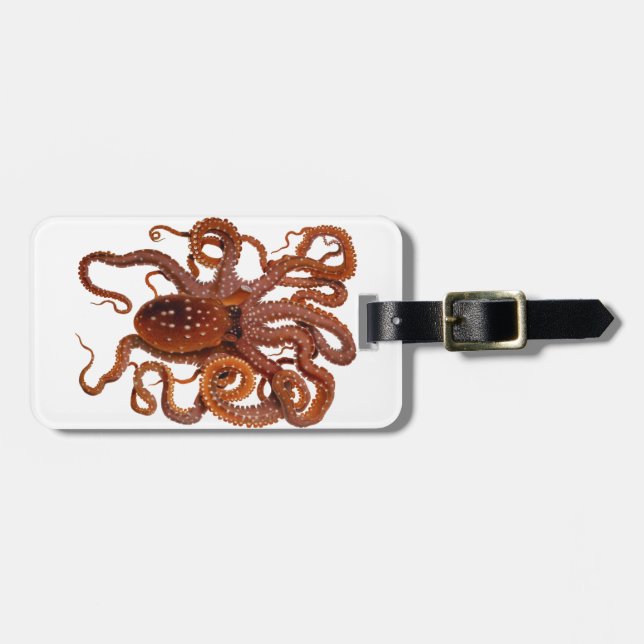 Krakemacropus-atlantische weiße gepunktete Krake Gepäckanhänger (Vorderseite horizontal)