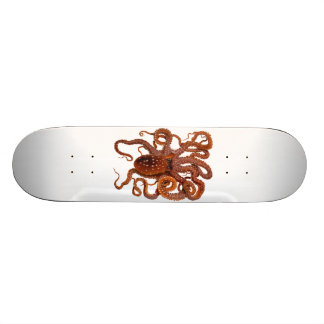 Krakemacropus-atlantische weiße gepunktete Krake Skateboard