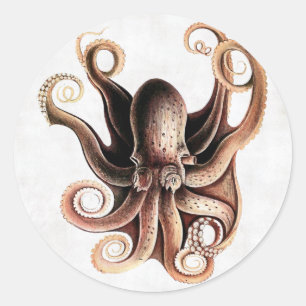Kraken-Aufkleber Runder Aufkleber