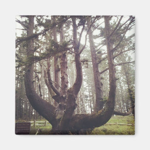 Kraken, Cape Meares, Oregon Magnet