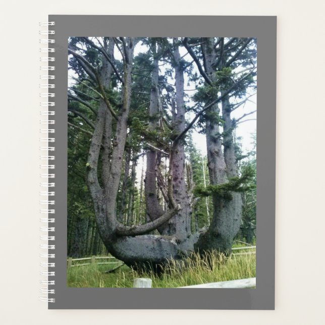 Kraken, Cape Meares, Oregon Planer (Vorderseite)