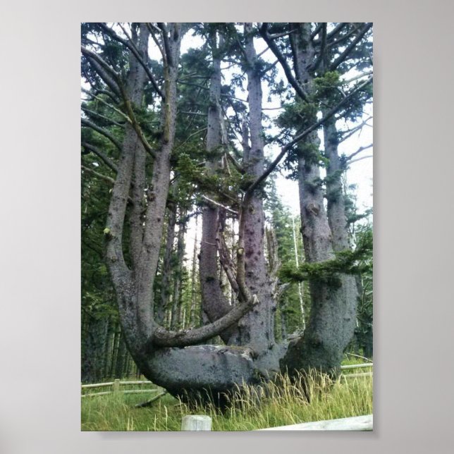 Kraken, Cape Meares, Oregon Poster (Vorne)