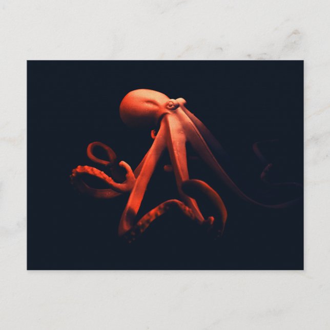 Kraken im Schatten Postkarte (Vorderseite)