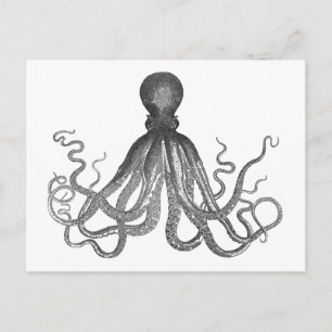 Kraken - Schwarzer Riesen-Oktopus / Cthulu Postkarte