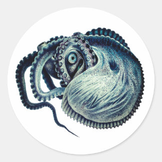 Kraken Tintenfisch Nautilus Argonaut Runder Aufkleber