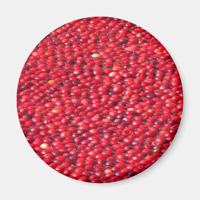 Kranbeeren Festliches Rot Magnet (Vorne)