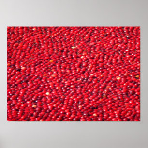 Kranbeeren Festliches Rot Poster