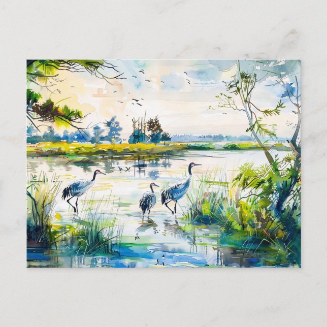 Krane am Fluss Havelland Wasserfarbe Postkarte (Vorderseite)