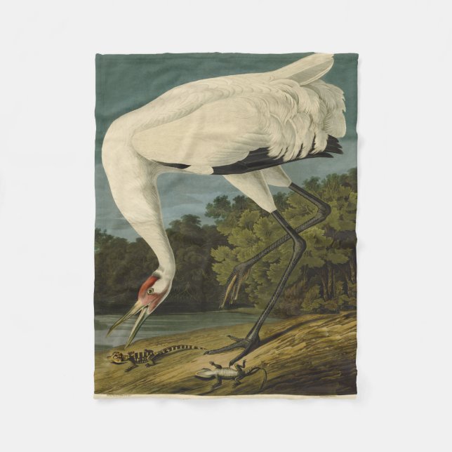 Krane Audubon Vogelmalerei Fleecedecke (Vorderseite)