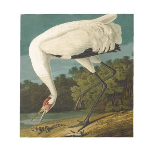 Krane Audubon Vogelmalerei Notizblock