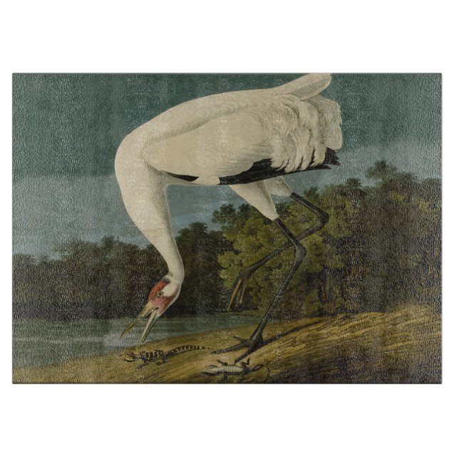 Krane Audubon Vogelmalerei Schneidebrett (Vorderseite)