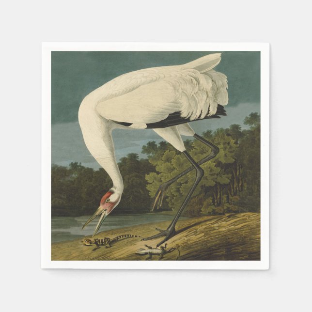 Krane Audubon Vogelmalerei Serviette (Vorderseite)