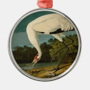 Krane Audubon Vogelmalerei Silbernes Ornament