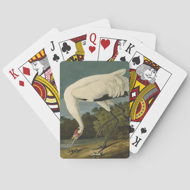 Krane Audubon Vogelmalerei Spielkarten (Rückseite)