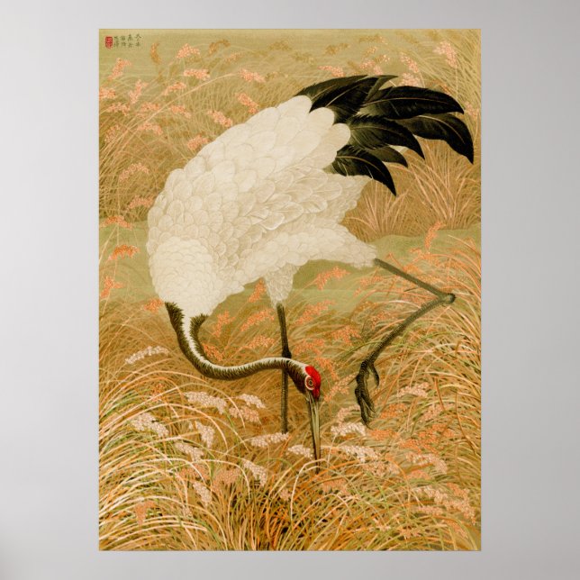 Krane auf Reisfeldern Poster (Vorne)