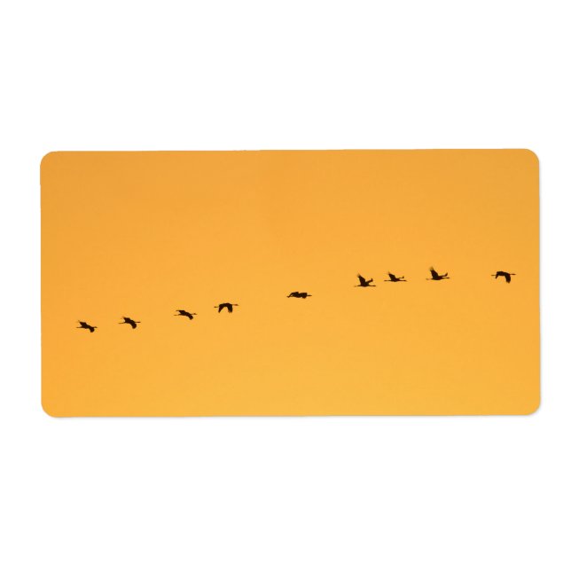 Krane bei Sonnenaufgang (Vorne)
