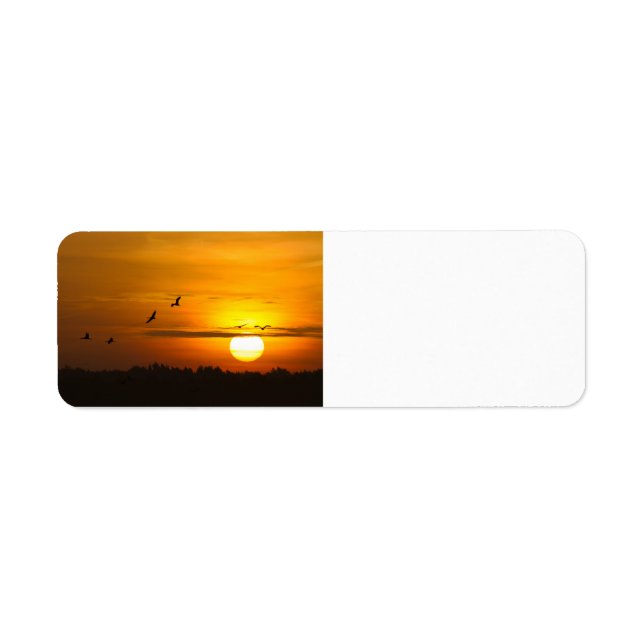 Krane bei Sonnenaufgang (Vorne)
