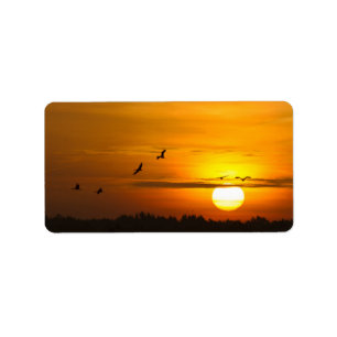 Krane bei Sonnenaufgang Adressaufkleber