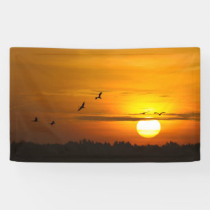 Krane bei Sonnenaufgang Banner