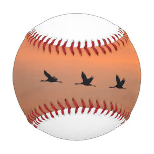 Krane bei Sonnenaufgang Baseball