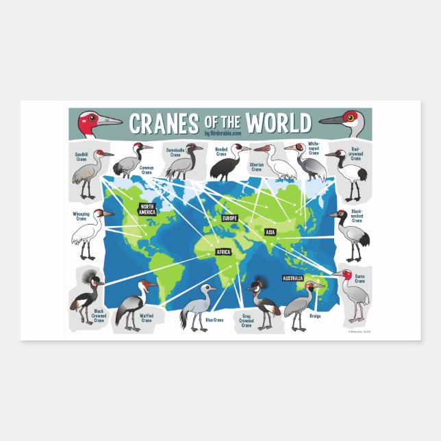 Krane der Welt Rechteckiger Aufkleber (Vorderseite)