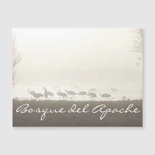 Krane im Nebel Bosque del Apache Magnetkarte