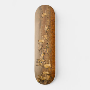 Krane über dem goldenen Feld Skateboard