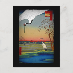 Krane und blaues Wasser Postkarte