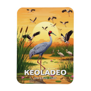 Kranich im Keoladeo-Nationalpark Indien Reise Magnet