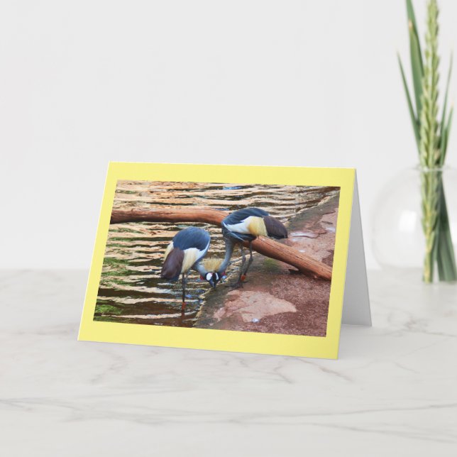 Kraniche Feiertagskarte (Vorderseite)