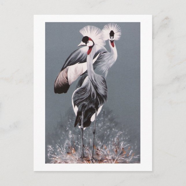 Kraniche Postkarte (Vorderseite)