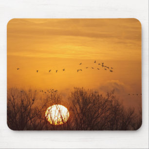 Kraniche vor aufgehender Sonne silhouettiert Mousepad