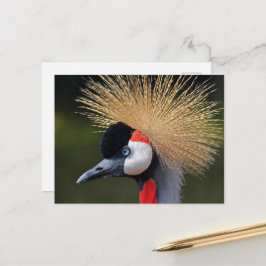 Kranichkranich Postkarte