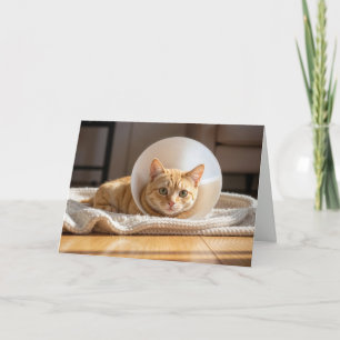 Kranke Katze mit Schamkegel erholt sich Karte