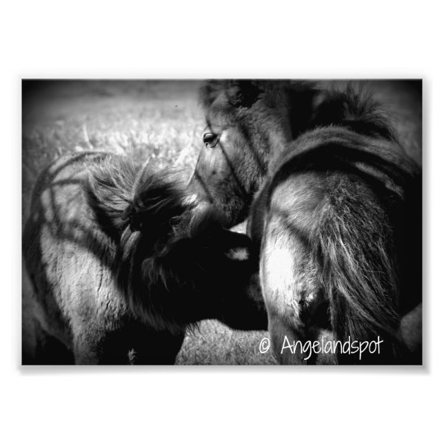 Krankenpflege Filly Fotodruck (Vorne)