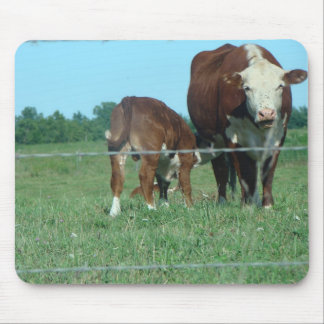 Krankenpflege-Kalb Mousepad