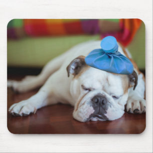 Kranker junger Welpe Getty Bild- Mousepad