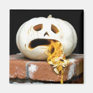 Kranker Kürbis-Magnet - "Barfy " Magnet