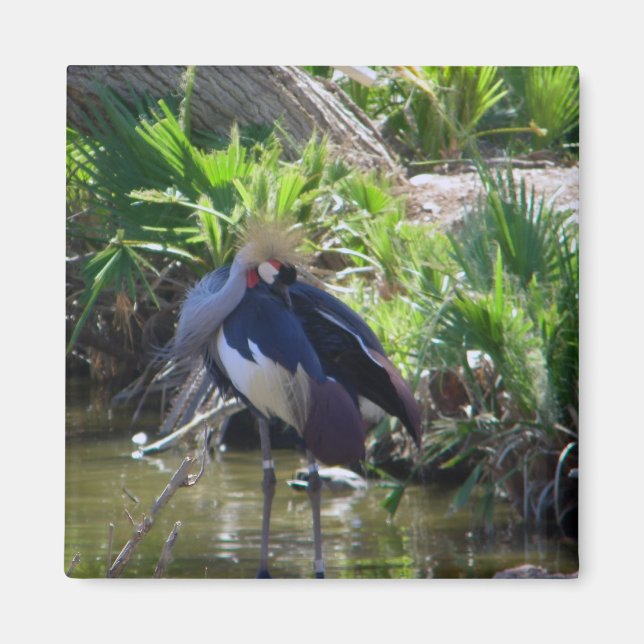 Kranmagnet Magnet (Vorne)