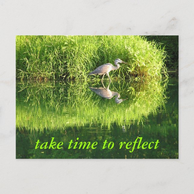 Kranreflexion Postkarte (Vorderseite)