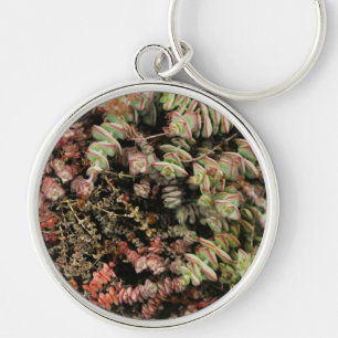 Krassula perforata schlüsselanhänger