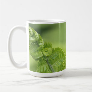 Kräuselnfarn-Blätter, Grün, verwischte Hintergrund Kaffeetasse