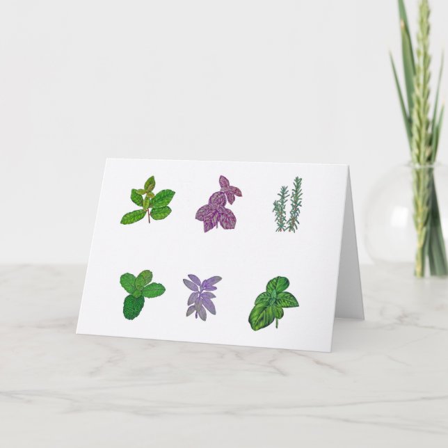 Kräuter in Aquarellen Karte (Vorderseite)