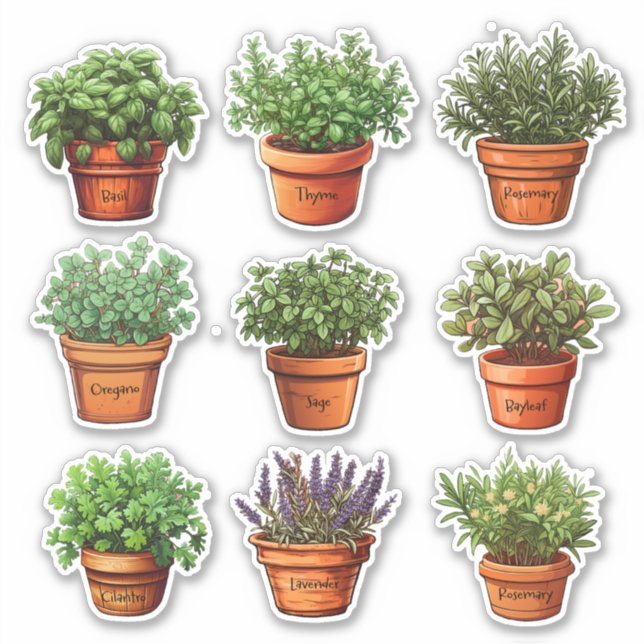 Kräuter in Terracotta Pots Stickers Aufkleber (Vorderseite)